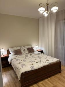 sypialnia z dużym łóżkiem i 2 szafkami nocnymi w obiekcie Apartament Sielawy 21 w Poznaniu