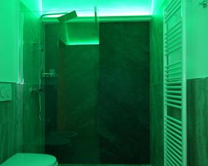 een groene badkamer met een toilet en een glazen douche bij Via Veneto Residenza in Cutrofiano
