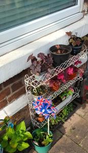 un carrito de jardín junto a una ventana con plantas en enjoy your stay, en Chester