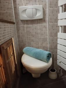 La salle de bains est pourvue de toilettes et d'une serviette bleue. dans l'établissement Studio - hypercentre - WIFI et Clim, à Toulon