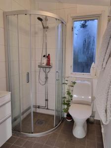 y baño con ducha y aseo. en Villa Stockholms skärgård 30 min från Stockholm centralt en Tyresö