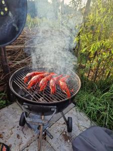 a grill with shrimp cooking on it w obiekcie Vakantiehuisje Buuf in de Brabantse natuur w mieście Schijndel