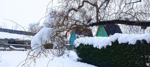 un arbusto cubierto de nieve con un árbol y un cono verde en Complejo de Cabañas Tierra de Luna en Potrerillos