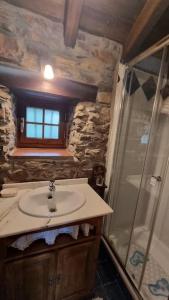 a bathroom with a sink and a shower at Casa Rural Maria de Isidro in Caboalles de Arriba