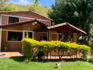 une maison avec un chat debout dans la cour dans l'établissement Villa Alejandra, à Guatapé