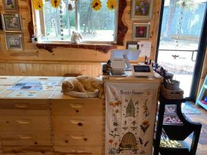 an orange cat sleeping in a box in a room at Thistle Bee Fun - Safari Tent - BeeWeaver Honey Farm in Navasota