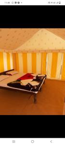 a bedroom with a bed in a tent at Jaisalmer Safari Base & Camp in Khuri
