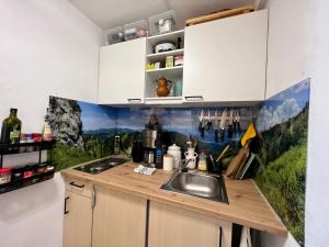 eine Küche mit einer Spüle und einer Theke in der Unterkunft Moderne, 1-Zimmer Ferienwohnung mit Bergblick in Oy-Mittelberg