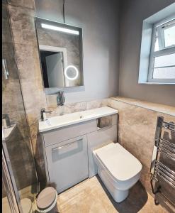 a bathroom with a toilet and a sink and a mirror at Granary Villa in Kidderminster