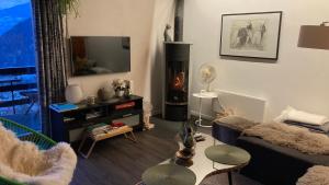 a living room with a couch and a fireplace at Le Lézard et la Grenouille BnB in Ovronnaz