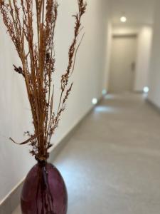 a purple vase with dry grass in a room at The Central guesthouse in Tal-Pietà