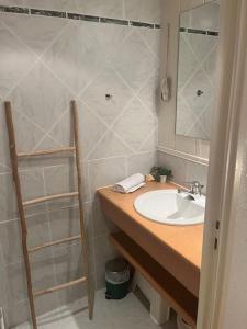 een badkamer met een wastafel en een douche met een spiegel bij L'escalier du Château T4 Duplex 9 couchages 4* in Annecy
