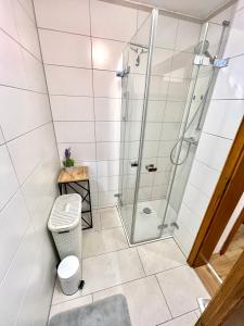 ein Bad mit einer Dusche und einem WC in der Unterkunft Moderne, 1-Zimmer Ferienwohnung mit Bergblick in Oy-Mittelberg