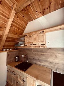 a kitchen with wooden walls and a sink in a cabin at Nomad Lodge Zminica in Žabljak