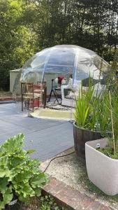 a greenhouse in a garden with some plants at South Lodge House in Dormans Land