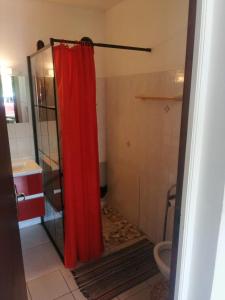 Koupelna v ubytování Appartement VIEUX HAB