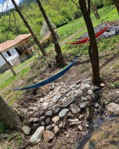 a group of hammocks tied to trees on a hill at Apartmani kod Kmeta in Janja
