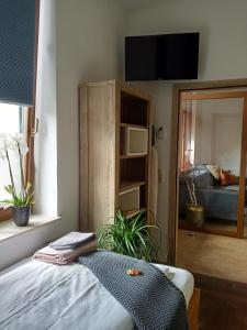 Schlafzimmer mit einem Bett, einem TV und einem Spiegel in der Unterkunft Ehem. Sächsisch-Bayrischer Hof in Pöhl