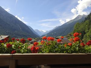 ノイシュティフト・イム・シュトゥーバイタールにあるApartment Fernerblickの赤い花と山々の渓谷の景色
