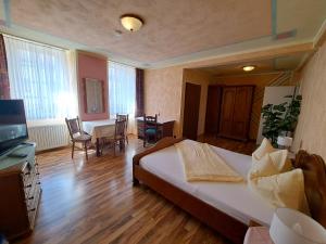 TV a/nebo společenská místnost v ubytování Hotel zum Hirsch