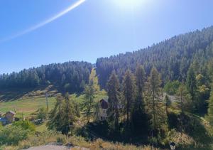 a house on the side of a hill with trees at Les Ecureuils "Les Faons" in Roubion