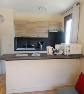 a kitchen with a counter with appliances on it at Les Ecureuils "Les Faons" in Roubion