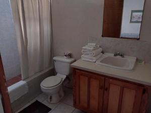 y baño con aseo y lavamanos. en Casa Villa Apartments en Calliaqua
