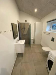 y baño con aseo, ducha y lavamanos. en Small Rica house in the center in Billund en Billund