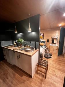 a kitchen and living room with a sink and a couch at Chalet Ecolodge Mazion in Mazion