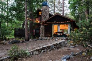 a log cabin in the woods with a tree at Owl Pine Cabin on Strawberry Creek in Idyllwild