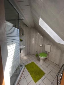 een badkamer met een groen toilet en een wastafel bij Pension 2 Ferienhof Hanstorf in Satow