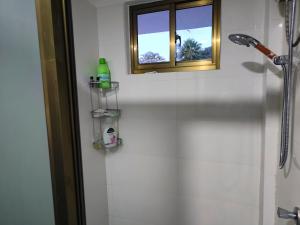 a bathroom with a shower with a window at Alpha & Omega Apartment Seychelles in Beau Vallon