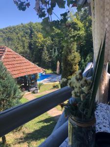 eine Vase mit Blumen auf einer Fenstersille mit einem Pool in der Unterkunft Beli Kamen etno selo in Prokuplje