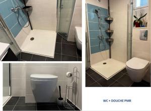 two pictures of a bathroom with a toilet and a shower at Gîte PMR 6 couchages/Chambre /hôte à partir de 45€ in Albi