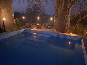 a swimming pool at night with lights and a tree at Hambana Lifestyle Lodge in Musina