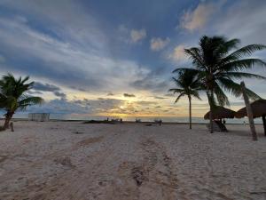 a sandy beach with two palm trees and the ocean at Cabañas Puerto Morelos in Puerto Morelos