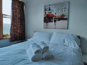 Postel nebo postele na pokoji v ubytování Aaran Central Guesthouse