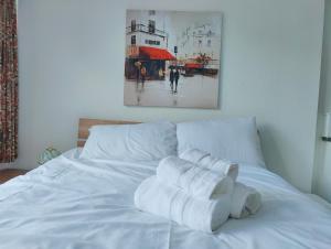 Postel nebo postele na pokoji v ubytování Aaran Central Guesthouse