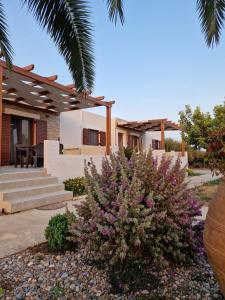 a house with stairs and flowers in front of it at Olivar Suites in Palekastron