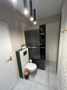 a bathroom with a toilet and a shower in it at Brand New !!! Baltic Marina Residence Sauna & Fitness Apartments- Royal Green Apartments, Ferienwohnung polnische Ostsee in Kołobrzeg