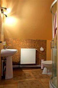 a bathroom with a sink and a toilet in it at Kristóf kulcsosház in Gheorgheni +22 photos
