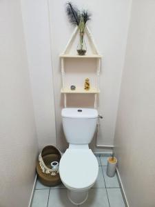 uma casa de banho com um WC com três prateleiras por cima em Appartement moderne en ville em Armentières