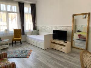 a bedroom with a bed and a mirror and a tv at Penzión Bihari in Dunajská Streda