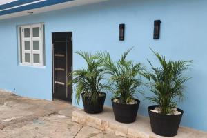 three potted plants sitting in front of a blue building at Kali-Yaiti Casa Vacacional in Vega Baja
