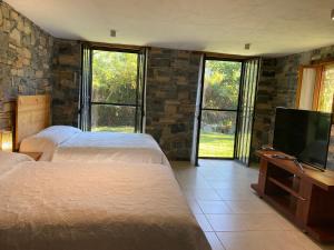 1 Schlafzimmer mit 2 Betten und einem Flachbild-TV in der Unterkunft Casa Camino a las Pozas in Xilitla