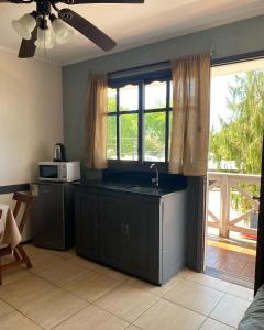 a kitchen with a sink and a counter with a microwave at Hotel Mirador del Dayman in Termas del Daymán