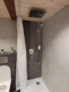 a shower in a bathroom with a toilet at Staubbach View - Traditional Chalet Apartment in Lauterbrunnen