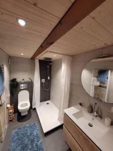 a bathroom with a shower and a toilet and a sink at Staubbach View - Traditional Chalet Apartment in Lauterbrunnen