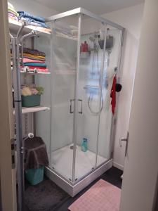 y baño con ducha y puerta de cristal. en Chez Anita en Plérin