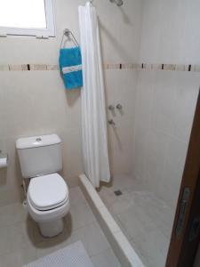 a white bathroom with a toilet and a shower at Monoambiente las lilas in Puerto Madryn